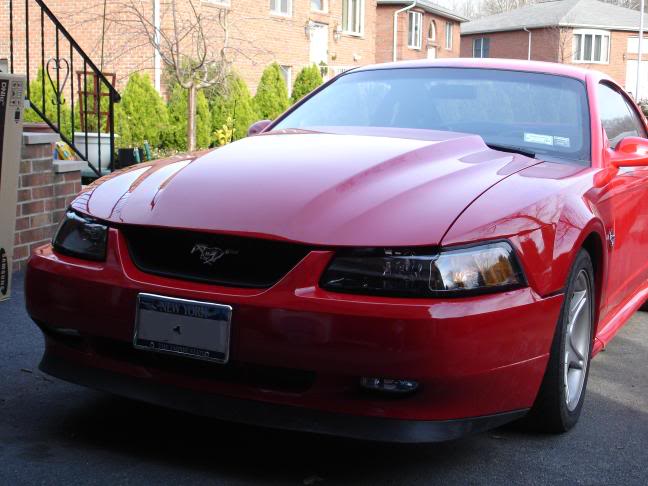 Name:  Mustang5.jpg
Views: 175
Size:  47.1 KB