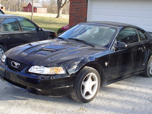 Name:  Picture033.jpg
Views: 81
Size:  90.7 KB