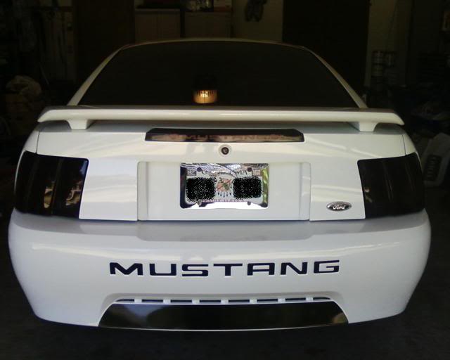 Name:  Mustangrear-1.jpg
Views: 10
Size:  27.0 KB