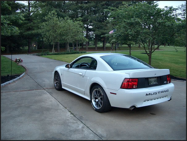Name:  CIMG4522.jpg
Views: 144
Size:  91.9 KB