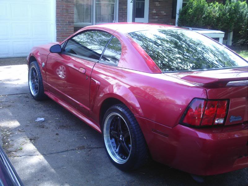 Name:  DCFN0010.jpg
Views: 77
Size:  78.3 KB