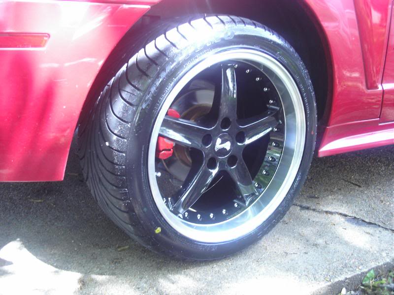 Name:  DCFN0006.jpg
Views: 109
Size:  71.1 KB