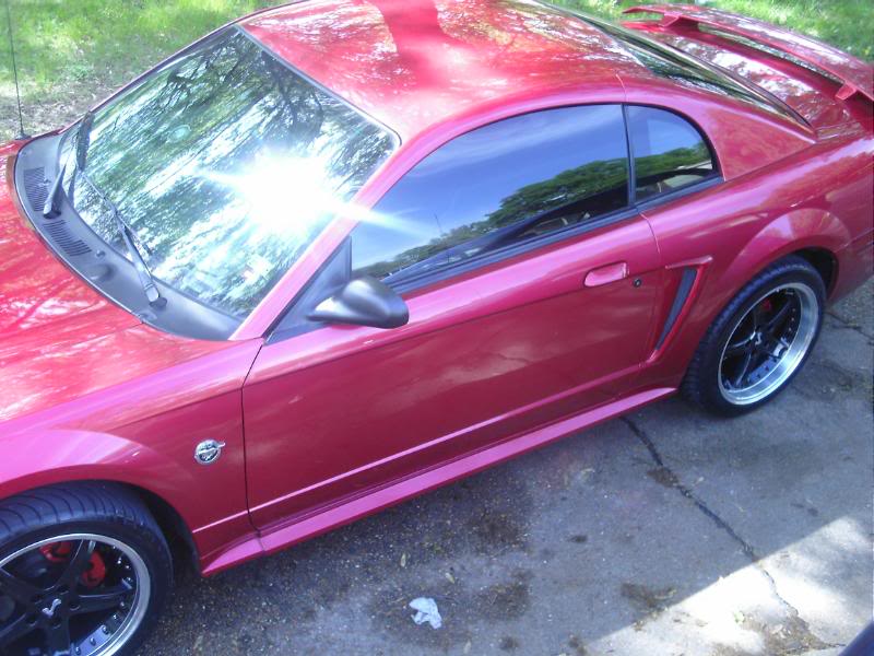 Name:  DCFN0012.jpg
Views: 69
Size:  82.0 KB