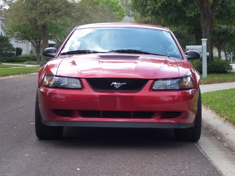 Name:  100_0317.jpg
Views: 55
Size:  104.9 KB