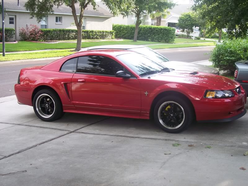 Name:  100_0509.jpg
Views: 30
Size:  98.1 KB