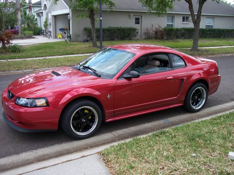 Name:  100_0313.jpg
Views: 58
Size:  140.0 KB