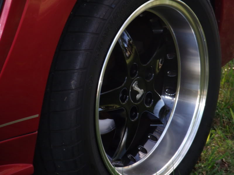 Name:  GEDC0016.jpg
Views: 41
Size:  48.5 KB