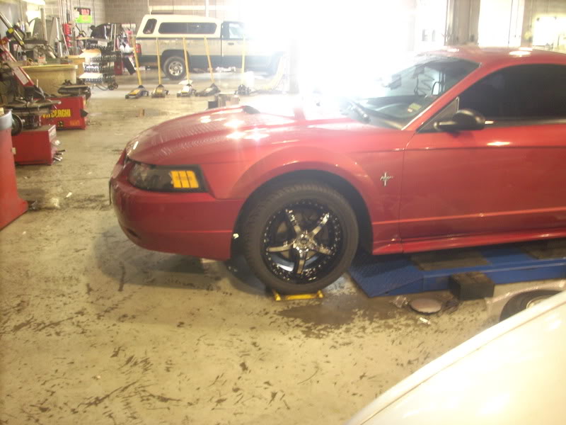 Name:  DSCI0301.jpg
Views: 75
Size:  72.3 KB