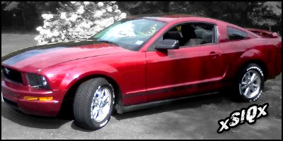 Name:  siq.jpg
Views: 41
Size:  28.0 KB